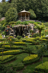 View of garden in park