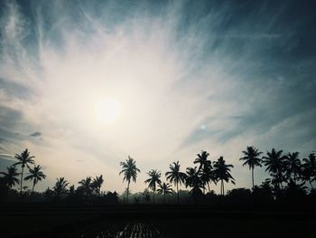 Low angle view of palm trees against sky