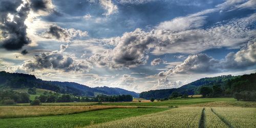 Scenic view of agricultural field against sky