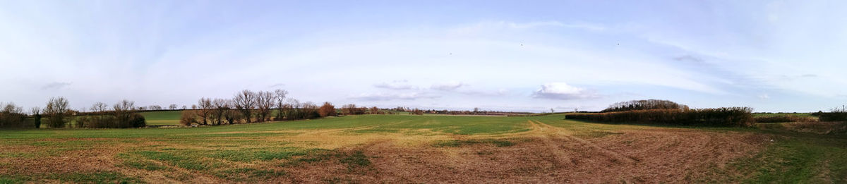 Panoramic shot of agricultural field against sky