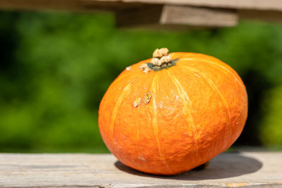 Close-up of pumpkin on wooden table