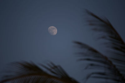 Low angle view of moon against sky at night