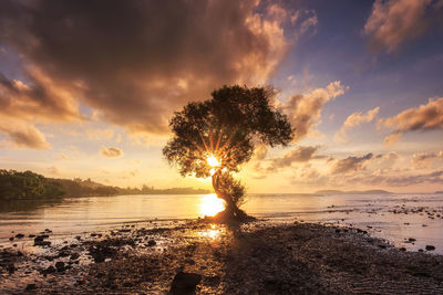 Scenic view of sea against sky during sunset