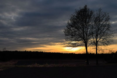 Silhouette tree against dramatic sky