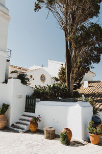 Potted plants outside building