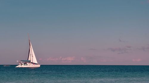 Sailboat sailing on sea against sky