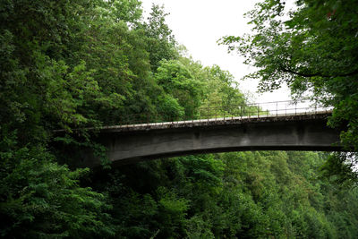 Bridge over river in forest