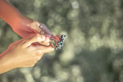 Close-up of woman hand holding blurred outdoors