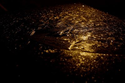 Close-up of water at night