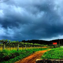 Scenic view of field against cloudy sky