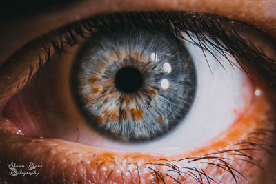 Close-up of human eye