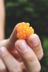 Close-up of person holding ice cream