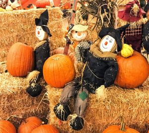 High angle view of pumpkin pumpkins