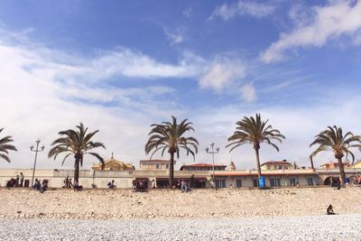 Palm trees on beach against sky