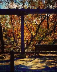 Trees by metal structure