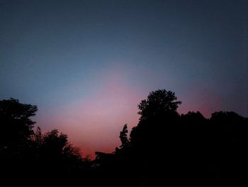 Low angle view of silhouette trees against sky at night