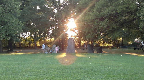 Sun shining through trees