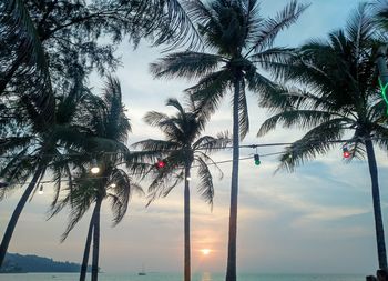 Palm trees against sky during sunset