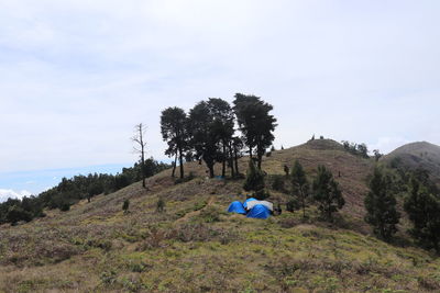 Trees on field against sky