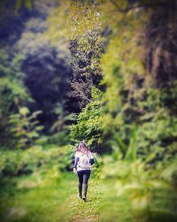 Rear view of woman walking on street amidst trees