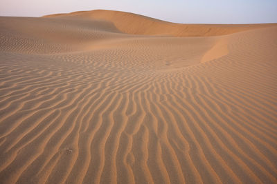 Scenic view of sand dune in desert against sky