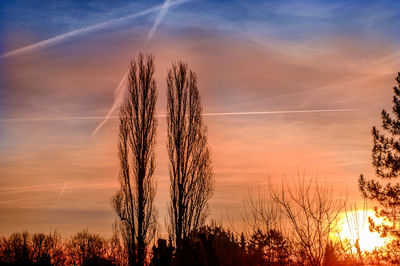 Silhouette trees against sky during sunset