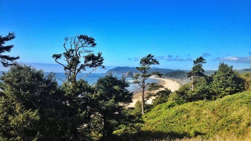 Scenic view of green landscape and trees against blue sky