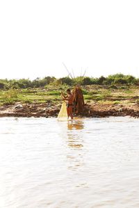 Dog in water