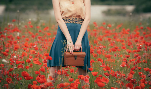 Midsection of woman standing by red flowering plants on field