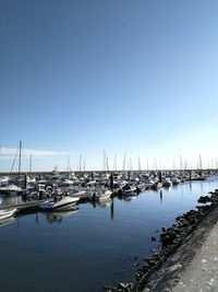 Boats in marina at harbor against clear blue sky