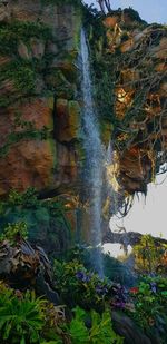 Scenic view of waterfall