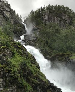 Scenic view of waterfall in forest