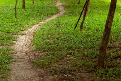 Footpath in field