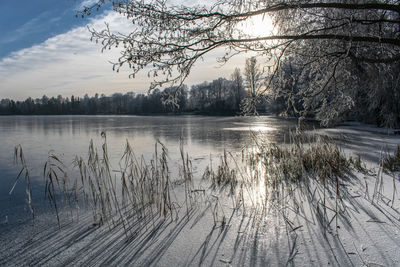 Scenic view of frozen lake during winter