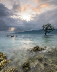 Scenic view of sea against sky