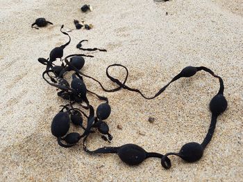 Close-up of heart shape on sand