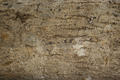 Macro shot of stone wall