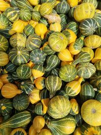 Full frame shot of pumpkins at market