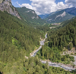 Scenic view of pine trees and mountains against sky