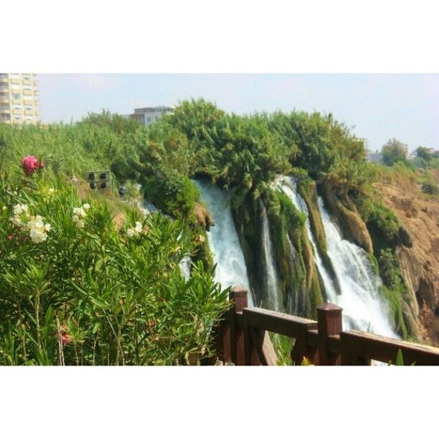 transfer print, water, auto post production filter, plant, nature, growth, beauty in nature, rock - object, scenics, tranquility, sea, tranquil scene, waterfall, tree, day, green color, rock, motion, clear sky, outdoors