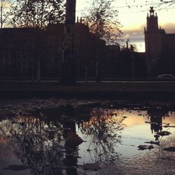 Reflection of trees in river