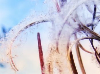 Close-up of snow against sky