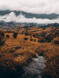 Scenic view of landscape against sky