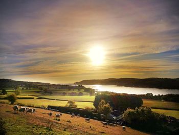 Scenic view of field against sky during sunset