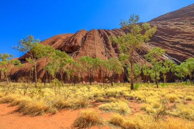 Scenic view of land against sky