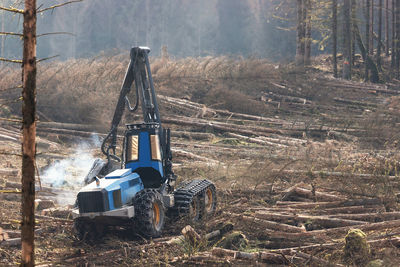 Construction site in forest