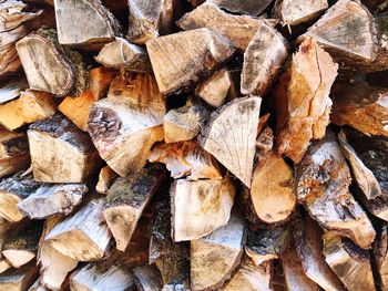 Full frame shot of logs in forest