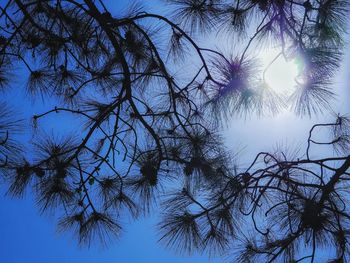 Low angle view of tree against sky