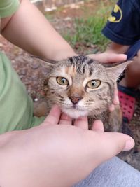 Midsection of person holding kitten
