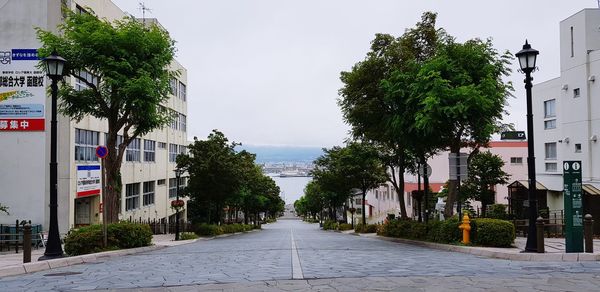 Street amidst trees and buildings against sky